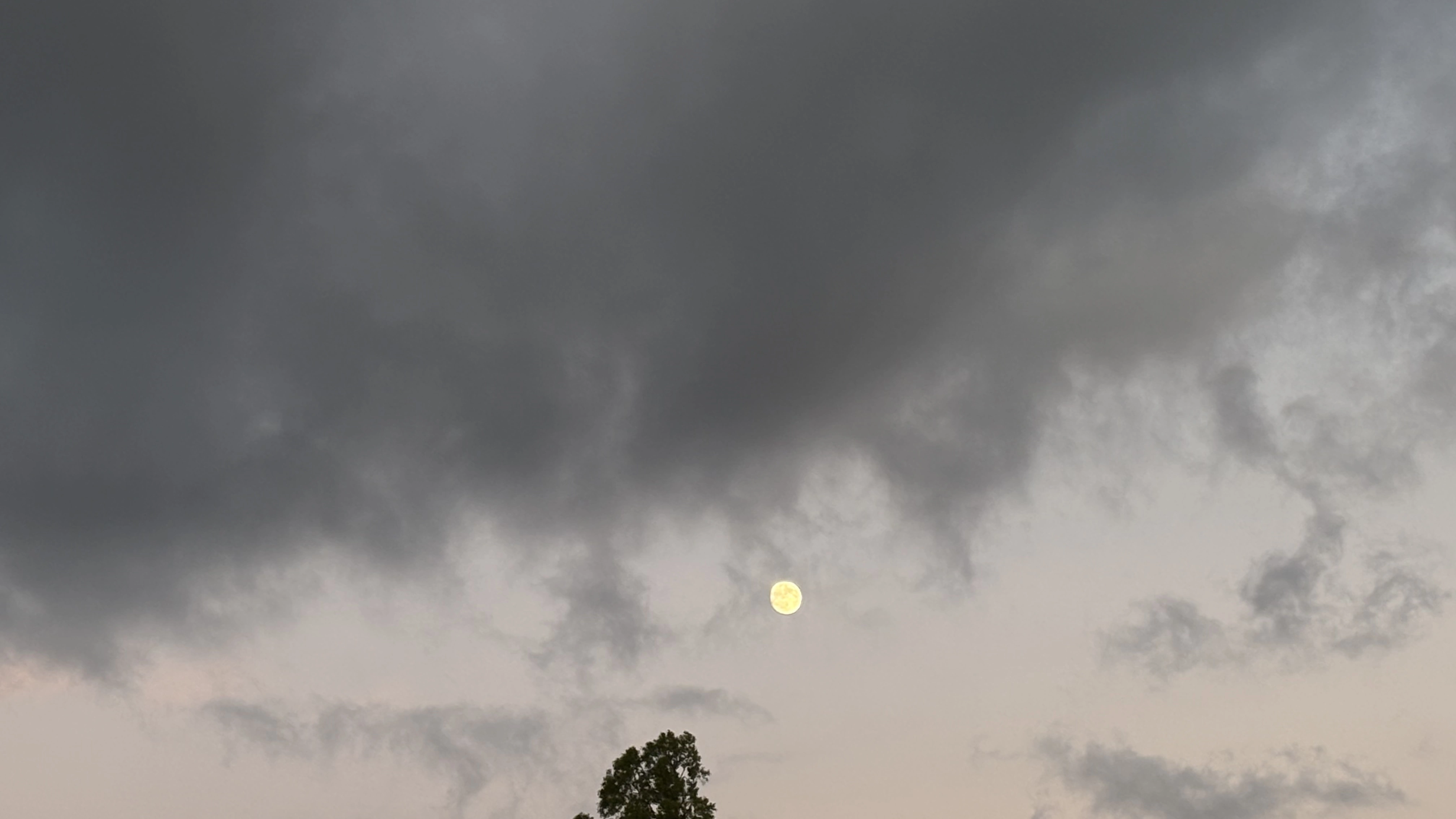 추석 연휴, 우레시노 어딘가에서 찍은 정월 대보름. 연휴를 맞이하여 일본을 다녀왔다. 언어, 문화는 다르지만 같은 개념을 공부하는 사람들도 보아 신기했다. 모처럼 여유로운 휴식 시간을 보냈다.